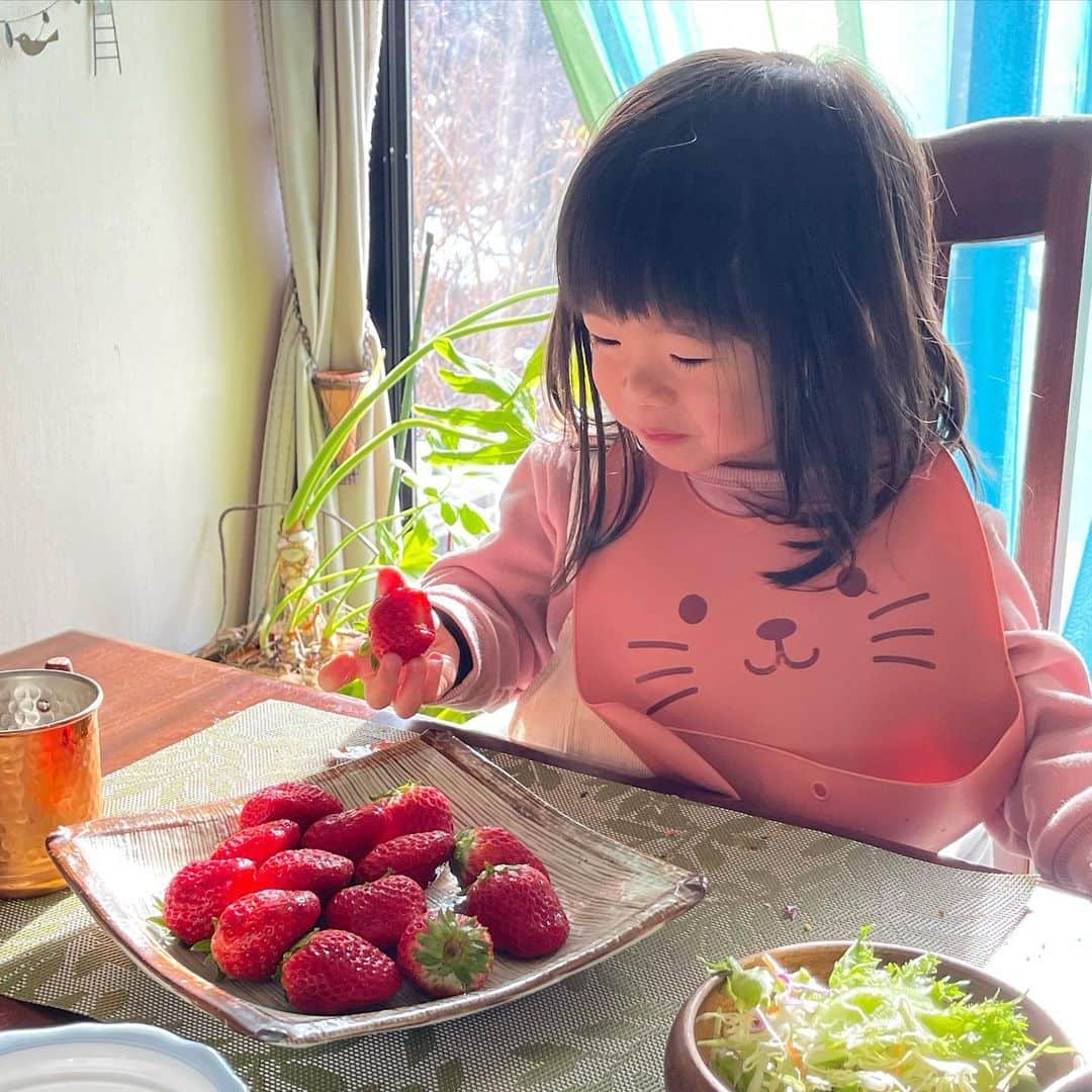 RYUのインスタグラム：「年末は6年ぶりに家族と過ごせています。 年の瀬にに娘が美味しそうにイチゴ食べてる様子を見れるとは思ってませんでした。  YouTubeはじめてからは、1/1は毎年0時から仕事してました。31日の23:50とかから配信開始して、1/1は0時に仕事始めて動画作って編集して〜みたいな生活。  マスターデュエル中心に実況活動するようになって、人間らしい生活を送らせて貰ってます。 (新年0時に新弾実装みたいな実況者殺しはしないタイプの運営方針)  マスター運営、ほんまにありがとう。今年もたくさん課金しますね。  皆さん今年も宜しくお願いいたします。 おまけに2022年最後の晩餐を載せておきます。」