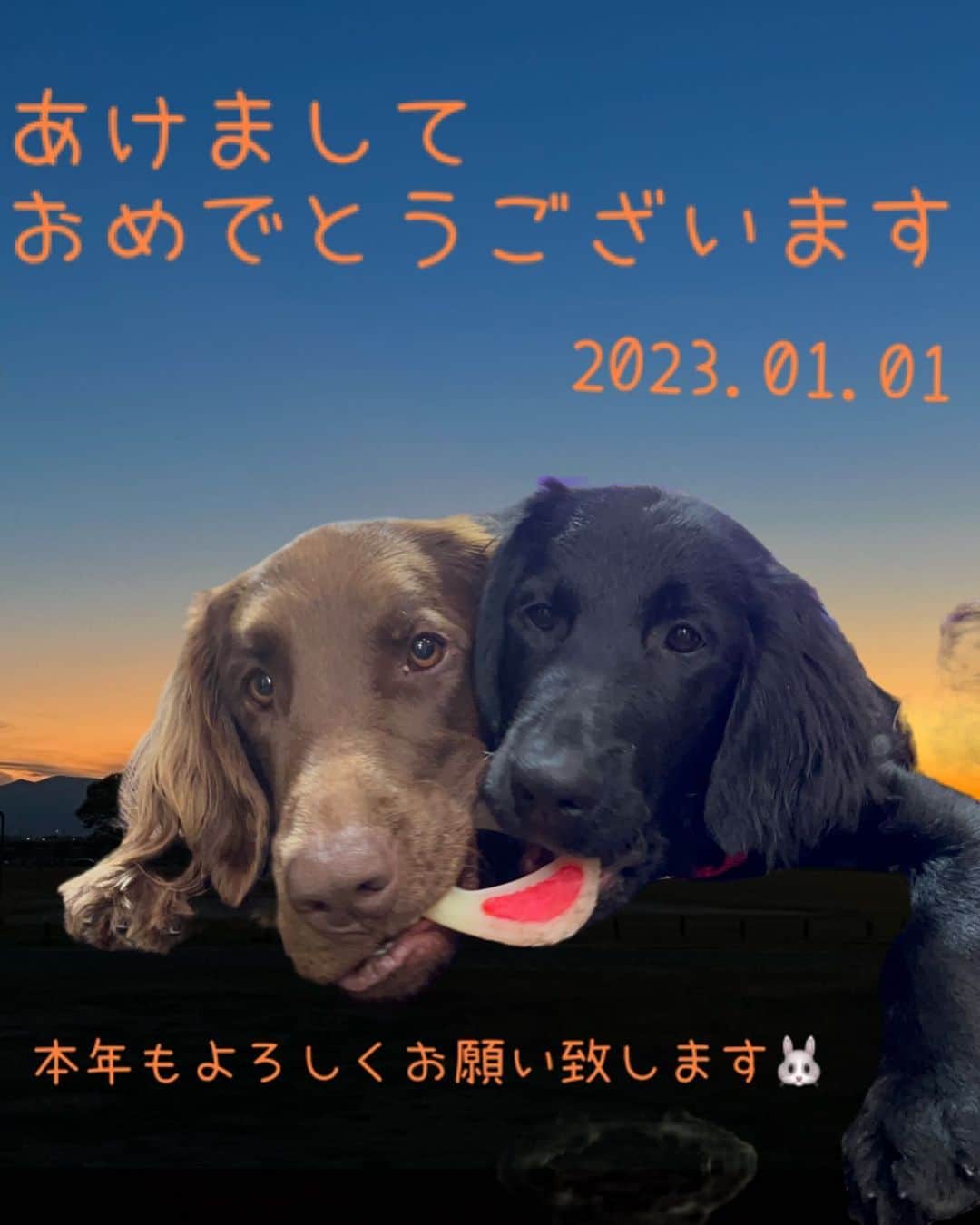 璃央じゅんのインスタグラム
