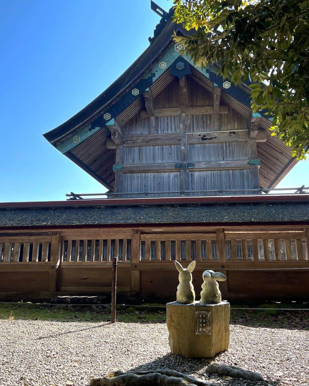 小山愛理のインスタグラム：「⁡ あけましておめでとうございます🐰 今年もよろしくお願いします🤍 みなさんにもたくさんの福が訪れますように✨ ⁡ #happynewyear2023」