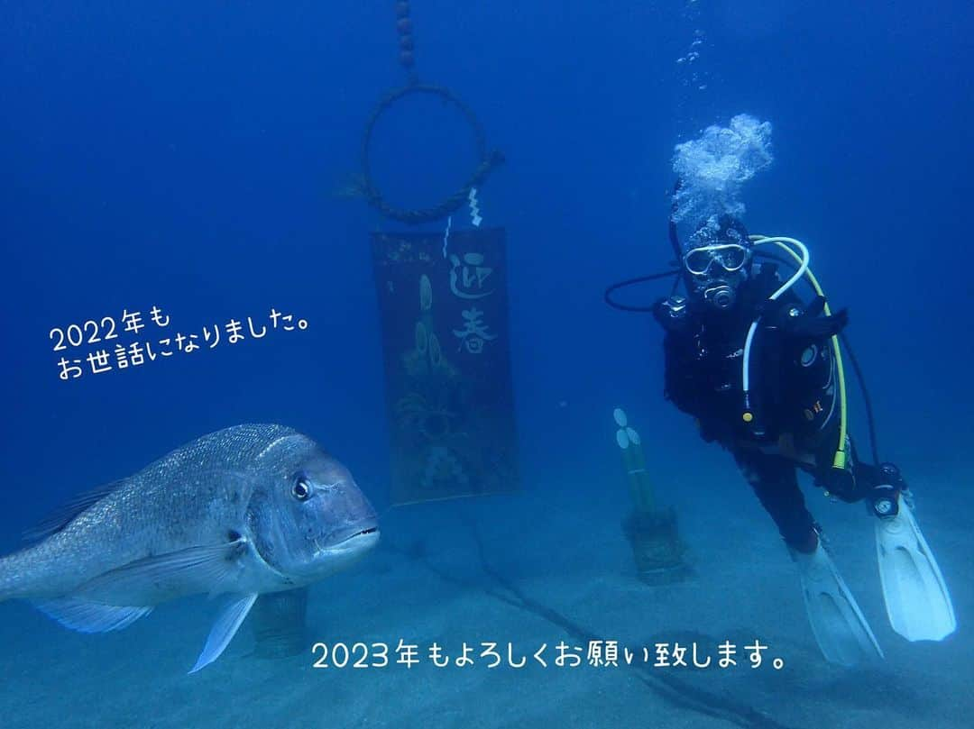 天乃舞衣子のインスタグラム：「明けましておめでとうございます！ 今年は実習三昧、就活、国試と盛りだくさん！ そして何より、みそじんの吉祥寺シアターが楽しみ！ 本年もどうぞよろしくお願い致します！  #看護学生2年目  #黄金崎 #安良里 #馬ロック #真鯛のダイちゃん」