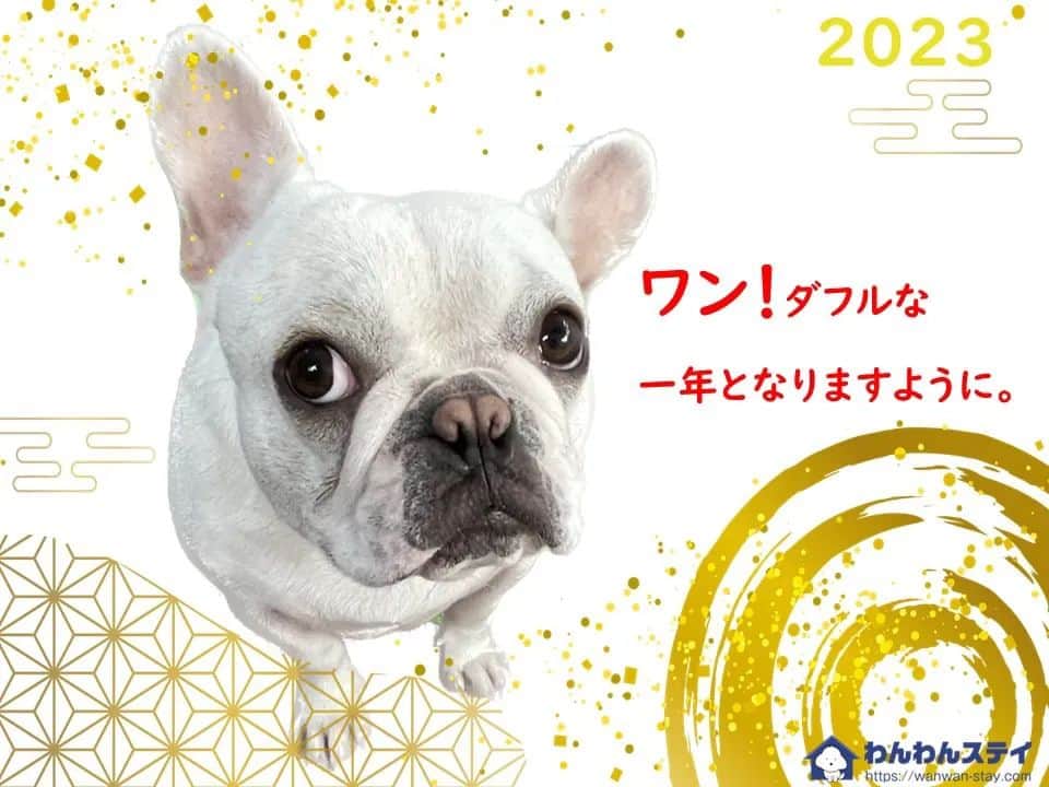 白石美緒のインスタグラム：「愛犬ジェシーは日本🇯🇵で、私達夫婦はドミニカ共和国🇩🇴で、無事に新年を迎えました。  今年もよろしくお願いいたします✨」