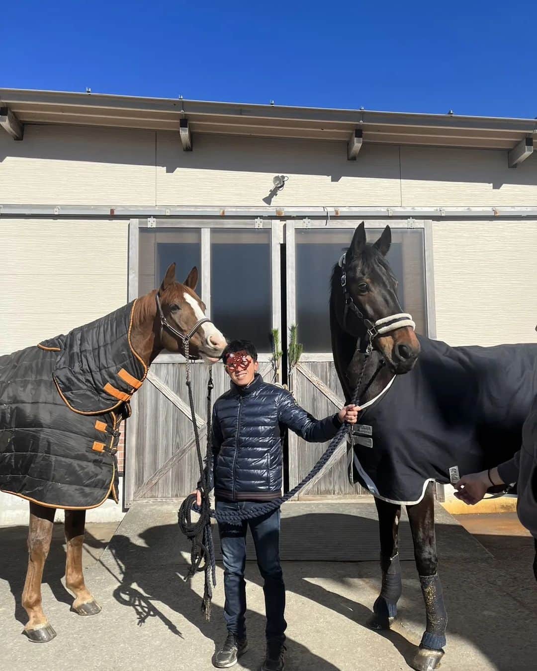 林伸伍のインスタグラム：「Happy new year 2023🎊 あけましておめでとうございます🐴🐰 本年もよろしくお願いいたします😄  #2023 #happynewyear #謹賀新年 #あけましておめでとうございます #馬 #horse」