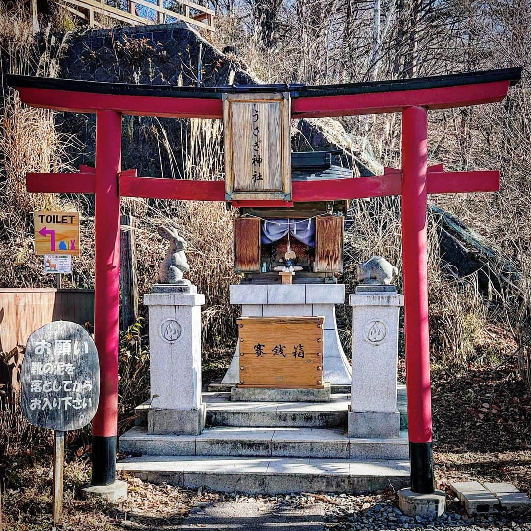 LOVE ME DOのインスタグラム：「⛩ #うさぎ神社 です🐇 #2023年 の #運気アップ 、 #開運 に #待ち受けにどうぞ  #山梨県南都留郡富士河口湖町  #河口湖うさぎ神社  2023年1月1日、 新しい占いサイト 【Love Me Do の 姓名判断】がOPENしました！ 無料で出来るところもあるのでやってみてね！ #LoveMeDoの姓名判断」