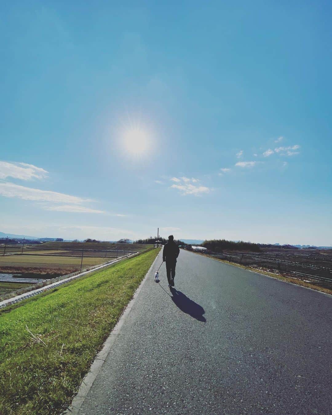 のインスタグラム：「新年あけましておめでとうございます🎍 飛躍の年にしよう。 2023年も応援よろしくお願いします！  #新年 #2023年 #卯年」