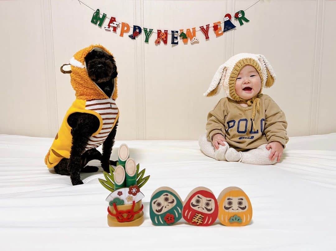 難波暉のインスタグラム：「あけましておめでとうございます㊗️ 2023年もよろしくお願いします🫡  年明けはオーストラリアでがんばります🇦🇺」
