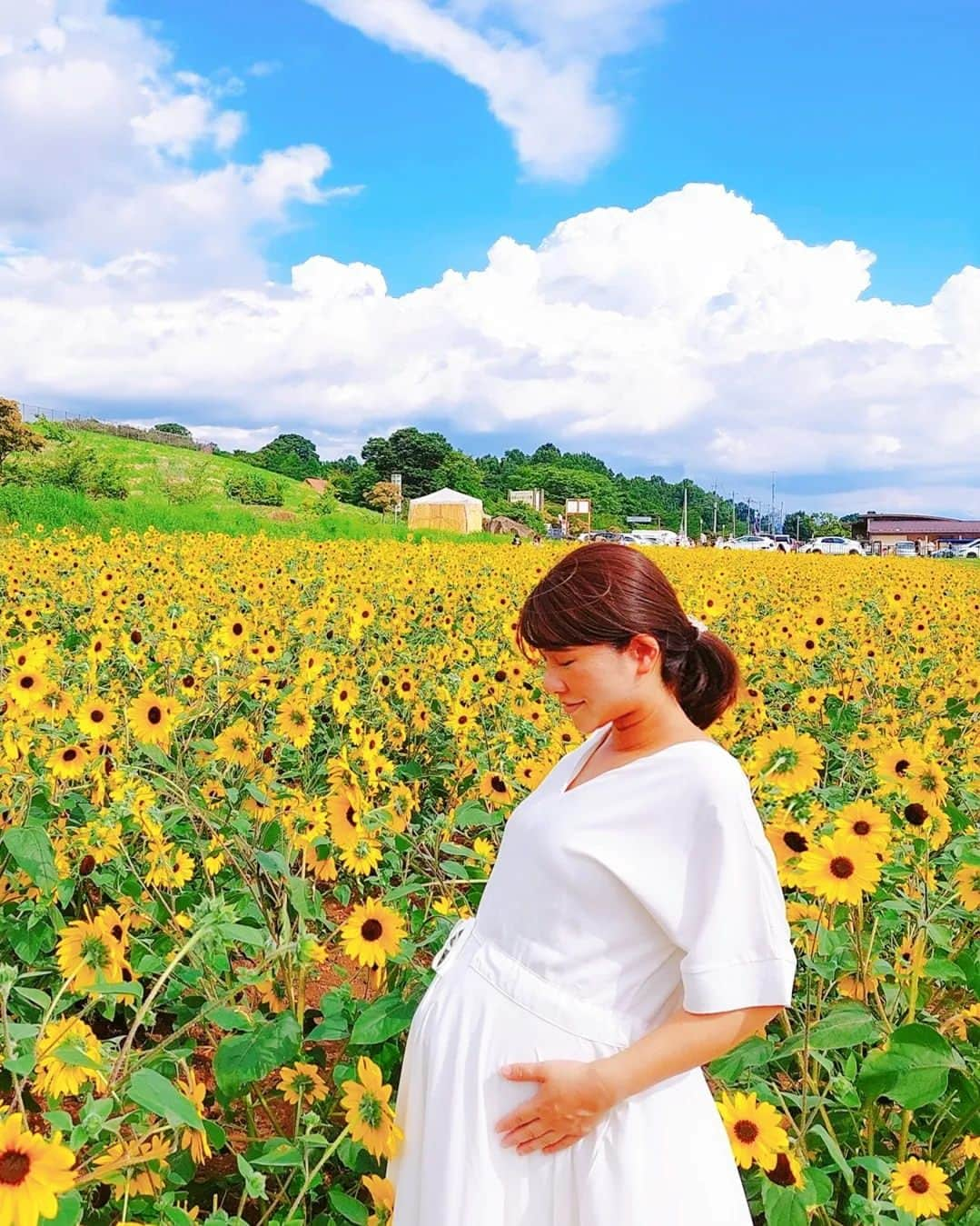 鈴木理香子さんのインスタグラム写真 - (鈴木理香子Instagram)「2022年、ありがとう😊 ずっとずっと 君の生きる未来が 平和でありますように…🌻  #2022 #ありがとう😊 #感謝しかない  #赤ちゃんのいる生活  #thanks#peace  #マタニティフォト #すーさんとべびたん #山梨県 #北斗市 #ひまわり畑 #🌻」1月1日 5時22分 - rikako.suzuki