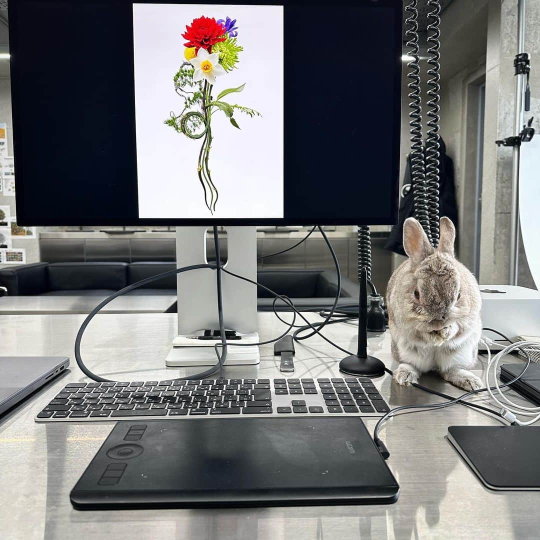 椎木俊介のインスタグラム：「2023 1.1 #azumamakoto #makotoazuma #amkk #amkkproject #shiinokishunsuke #flowers #flowerart #東信花樹研究所 #東信」