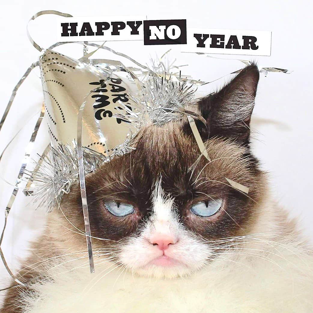 Grumpy Catさんのインスタグラム写真 - (Grumpy CatInstagram)「Here’s to 2023 being the worst year ever. 🎉」1月1日 8時51分 - realgrumpycat