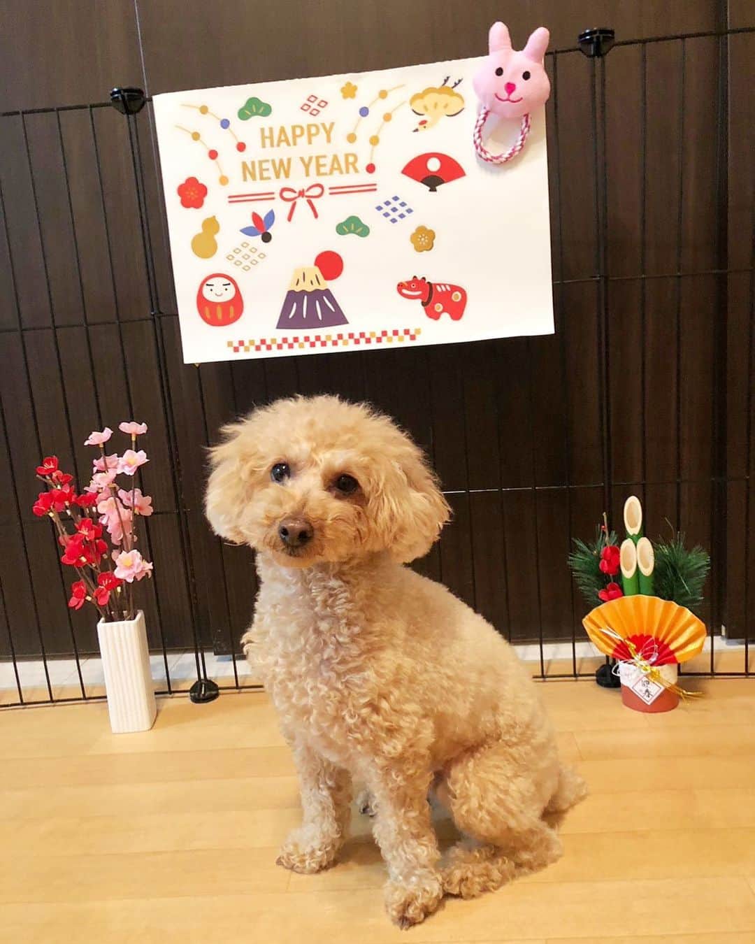 荻野由佳のインスタグラム：「新年 明けましておめでとうございます🎍☀️ おはようございます  昨年は、グループを卒業してから過ごす初めての年で、事務所退所を決断したり、自分の中で大きな変化がありました (髪も切ったー！笑)  今年からまた新たな気持ちで頑張るための準備の年として、2023年は新しい自分になって応援して下さる皆さんへ ワクワクした気持ちをお届けできるよう 努力をします！  私も楽しみです！  皆さんにとって幸せ溢れる年となりますように 身体には気をつけて 健康にお過ごしください  本年もよろしくお願いします！  お節たべよ〜〜😆」