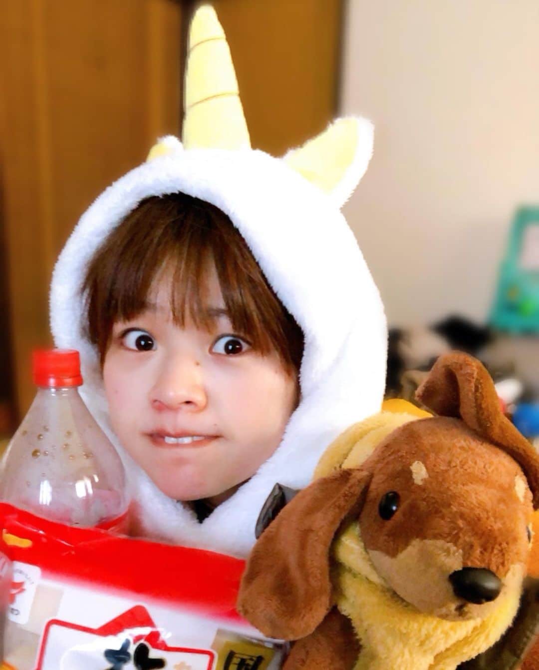 櫻井里花のインスタグラム：「あけおめ〜🐶🐇」