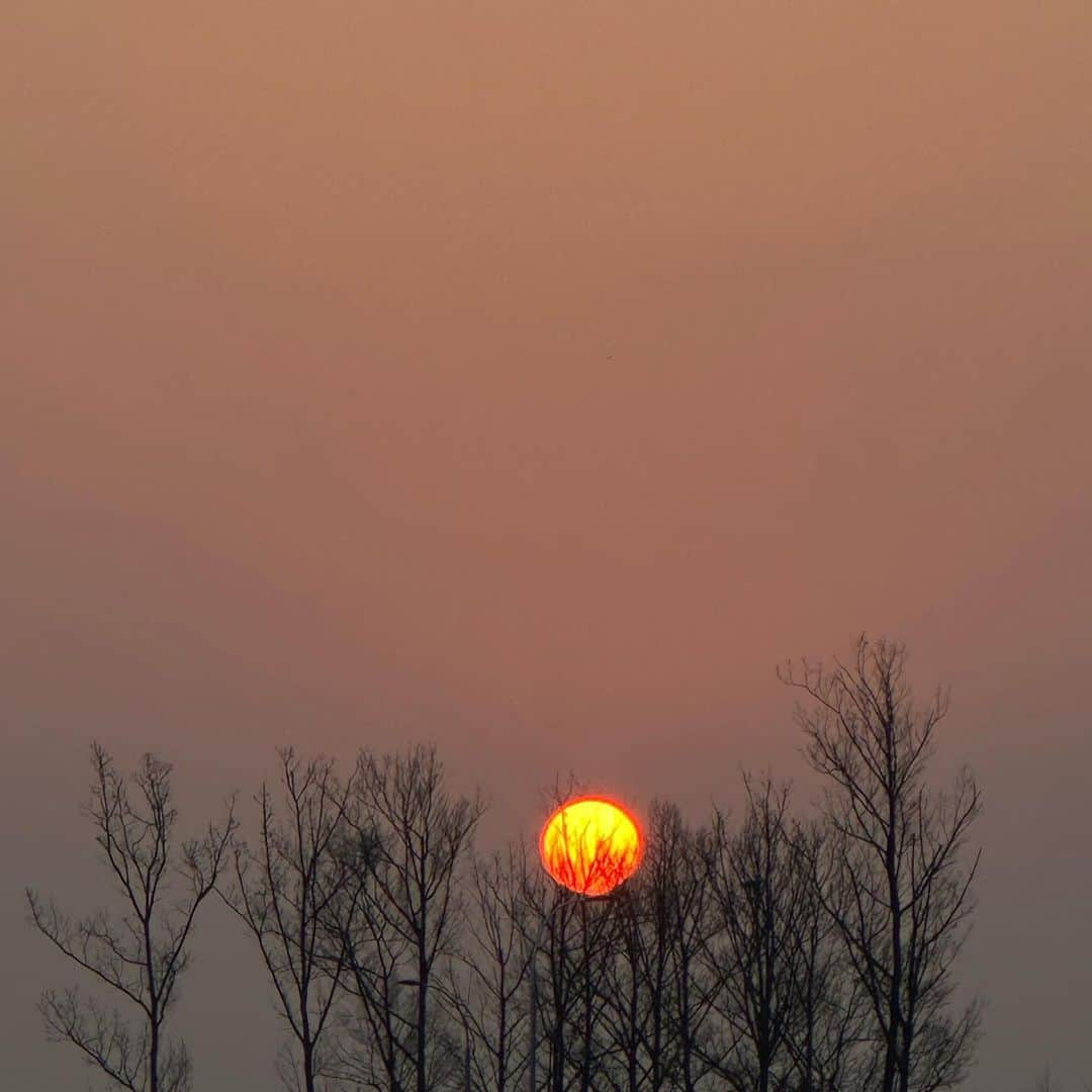 ゴンチャン さんのインスタグラム写真 - (ゴンチャン Instagram)「1월 1일☀️」1月1日 9時01分 - gongchanida