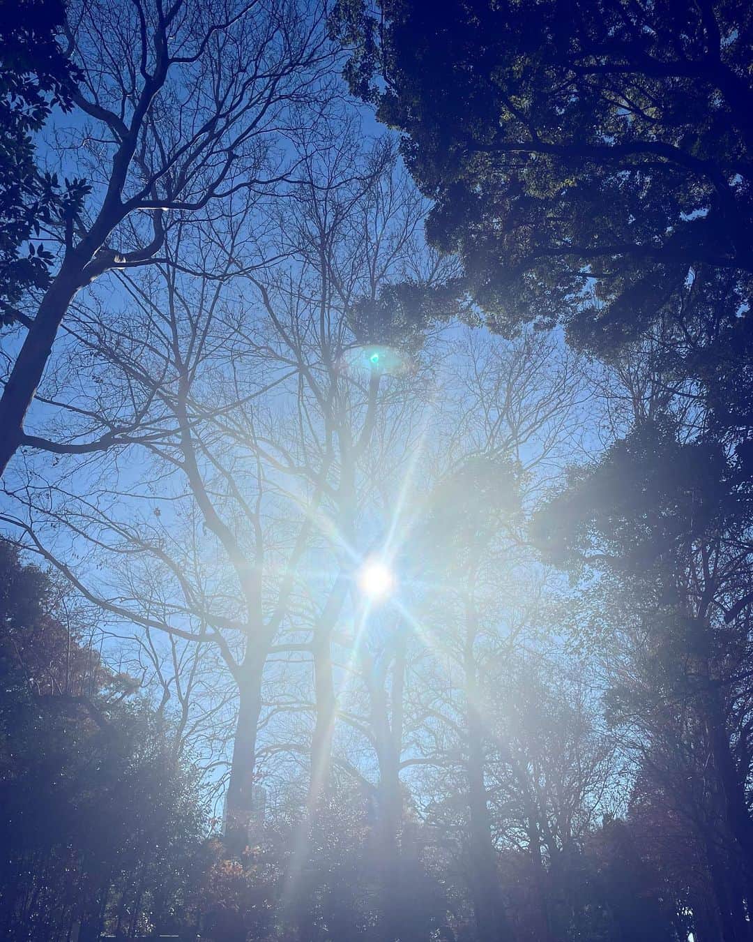 小川哲史のインスタグラム：「あけましておめでとうございます🌅  本年もどうか宜しくお願い致します🙇🏻  #happynewyear」