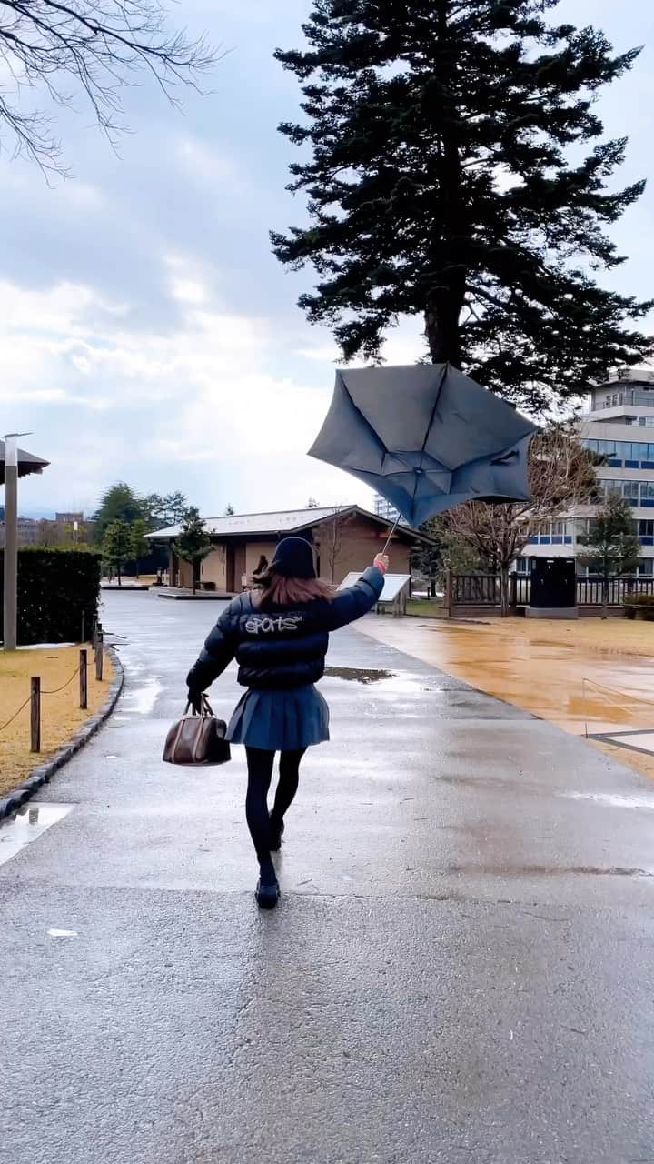 松田リマのインスタグラム：「. 傘の1番正しい使い方」