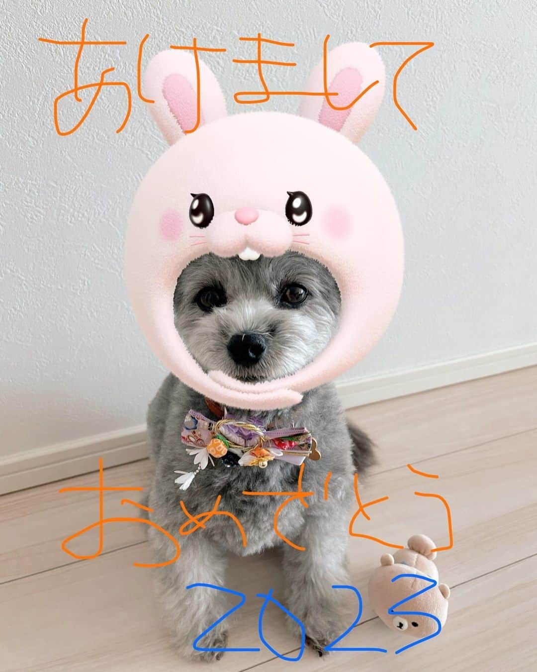 祥子のインスタグラム：「🎍Happy New Year🎍  ようこそ2023🐰 うさぎのように軽やかなフットワークの良さを身につけ、 目標に向かって跳びたいと思います🐇✨  今年もよろしくお願いいたします🐶 皆さまの一年が素晴らしい一年になりますように☺️  #あけましておめでとうございます #happynewyear #2023 #卯年 #愛犬だよ」