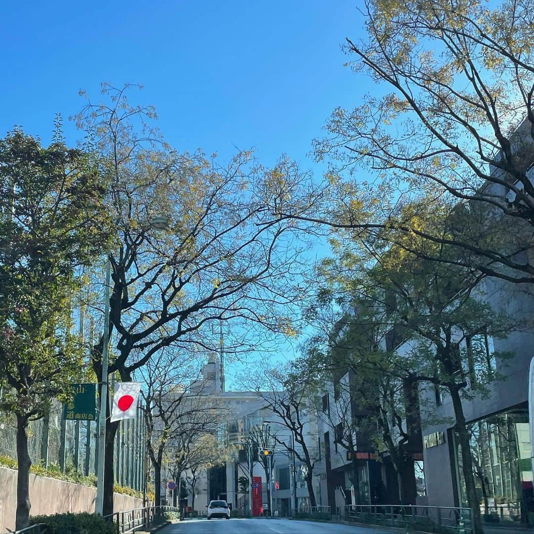 中林美和さんのインスタグラム写真 - (中林美和Instagram)「明けましておめでとうございます🎍 静かに新しい一年を迎える東京のお正月が好きです。  今年は健康を第一に、心を穏やかに、 人にも自分にも優しい一年にしようと思いました。 あまり欲張りにならずにゆっくりと、 そんな年にしてもいいかなと☺️  今年もどうぞよろしくお願い致します。 皆様に笑顔の溢れる素晴らしい一年となりますように✨✨✨  2023年元旦　中林美和」1月1日 15時04分 - miwanakabayashi