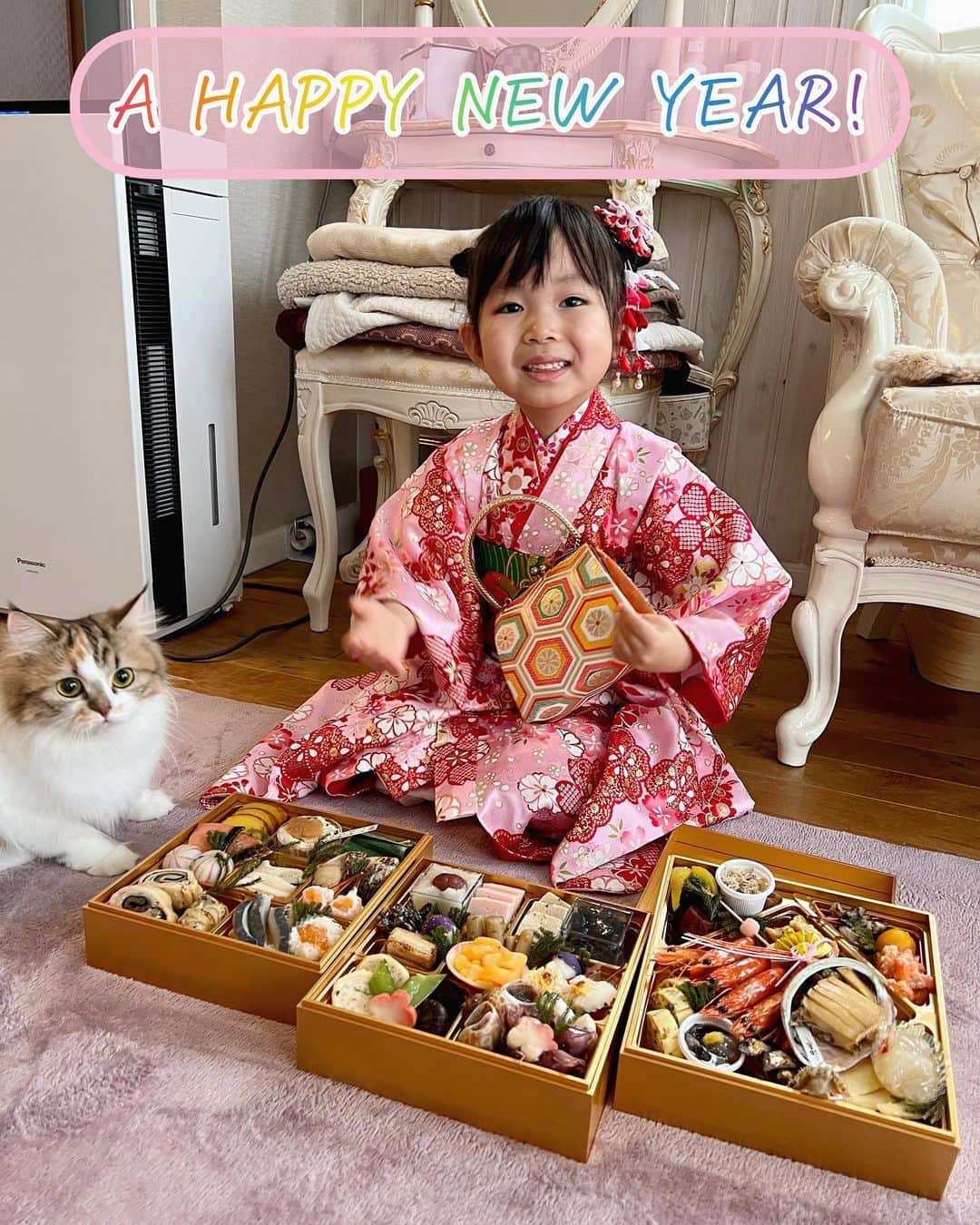 マンチカンのココ王子のインスタグラム：「あけましておめでとうございます⛩🎍✨ 本年もどうぞ宜しくお願いいたします！ 皆さまにとって、笑顔溢れる1年となりますように✨  ⁡ ⁡ ⁡Happy new year! May this be a happy and fruitful year.  ⁡My daughter in kimono with Anzu. ⁡We had "Osechi" traditional foods which are eaten by a lot of Japanese on New Year’s Day. ⁡ ⁡ ⁡ ⁡ お着物がちょっと怖かったみたいで じゃらしフリフリしてもちゅーる出しても 寄って来たのはあんずちゃんだけでした☺️☺️  ⁡ ⁡#ミヌエット#マンチカン#猫#catofig#猫とお正月#お正月#猫正月#happynewyearcat」