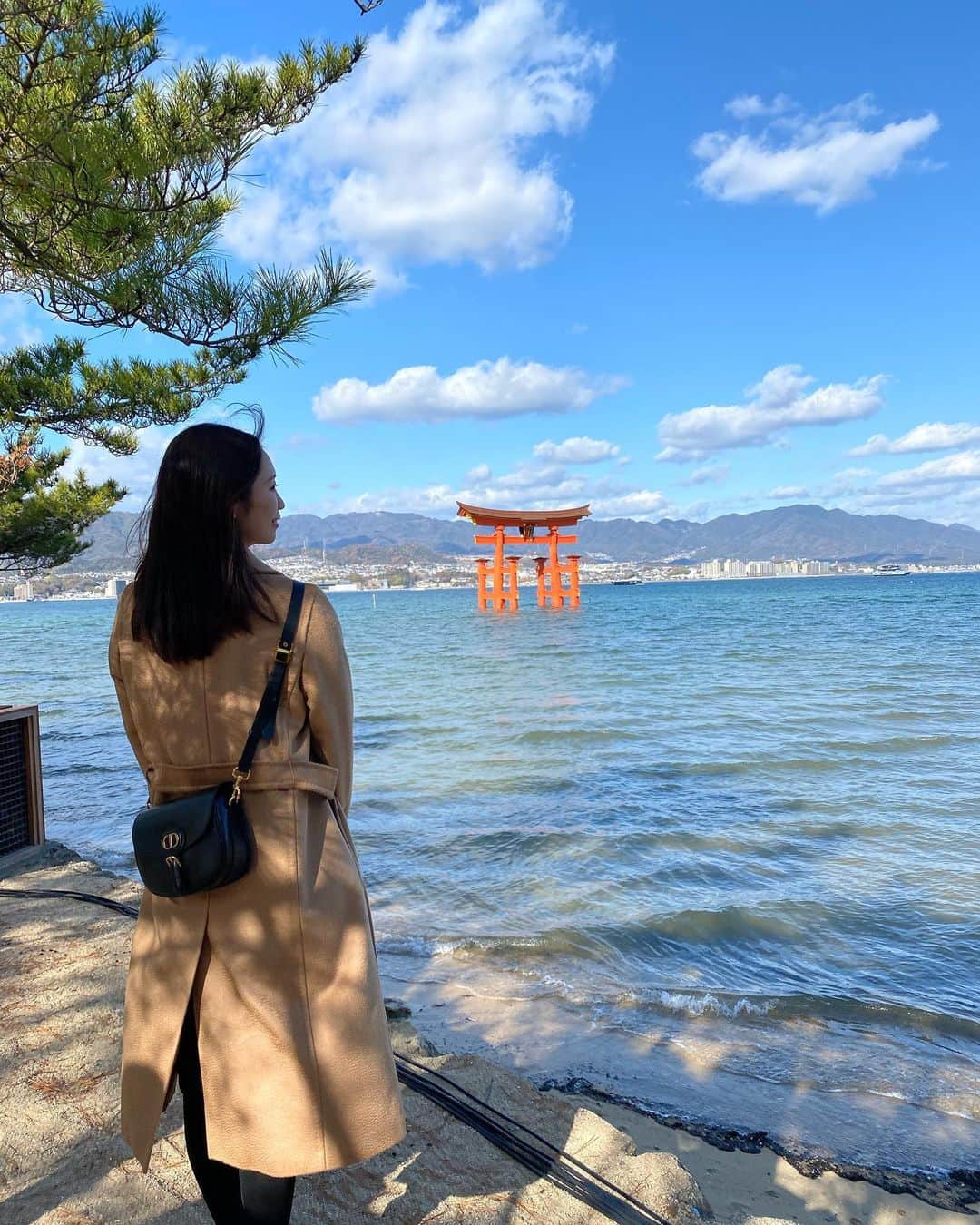 橘知衣代のインスタグラム：「* Happy new year🌸 本年もよろしくお願い致します🤍  #2023」