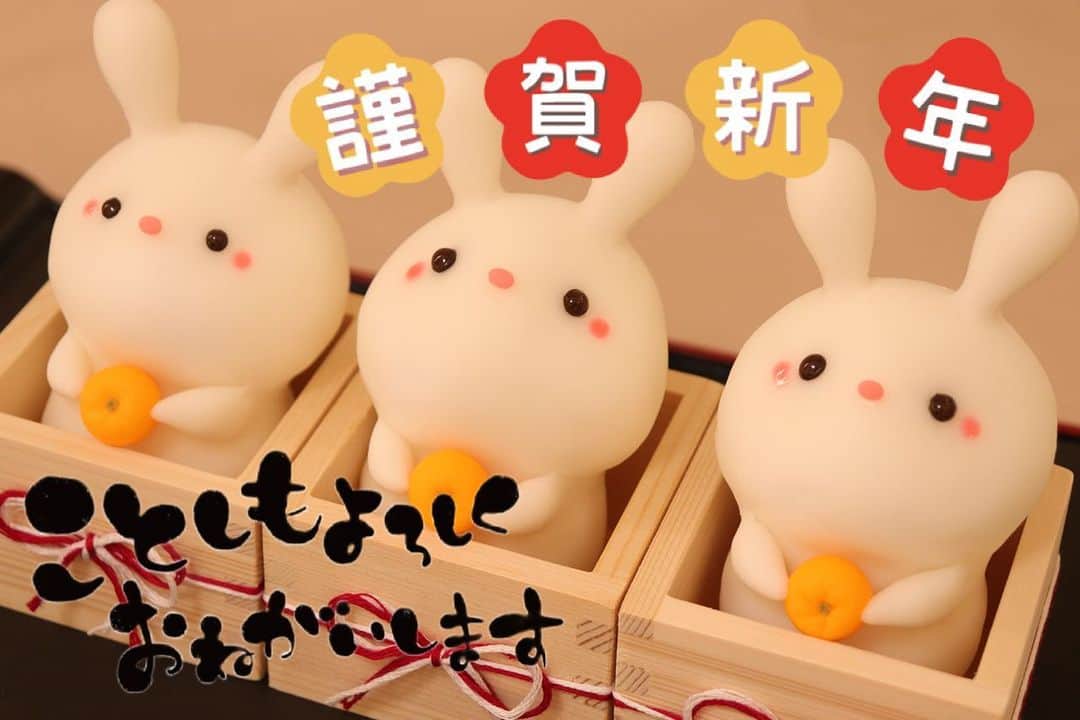 のインスタグラム：「初日の出が体に染み渡りました🌅  遅くなりましたが 明けましておめでとうございます！ 今年も宜しくお願い致します🐢♪)))」