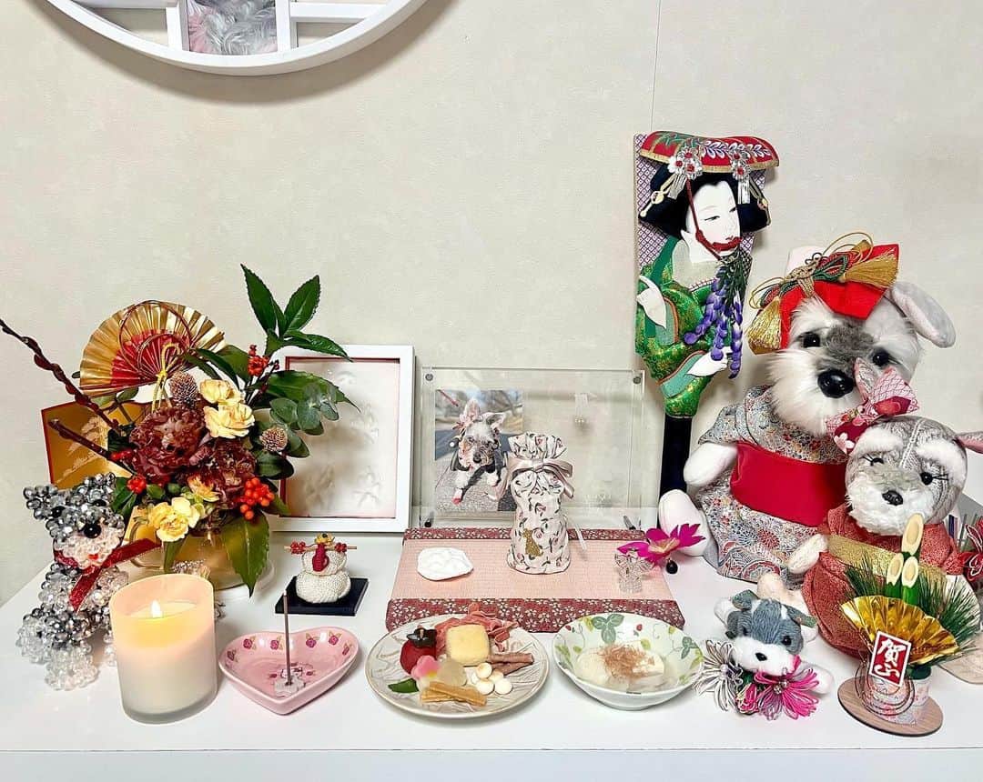 紀伊さつきのインスタグラム：「・  お正月、弟も帰ってきて みんなでのんびーりしています😊  人間たちがだらだらしているので、 ぬいたちがお正月モードで張り切ってくれています😂  母の手にかかれば着物も着られちゃうのね…😧すごい…  ショコのお写真も着物ver.に変えておきました👍 　 　 2023年の小さな目標は、、  ・ちょっと遠出できるくらいに車の運転上手になる🚗  ・昨年とった資格を活かす✏️ →その先の新たな資格も取る💪 　 ・楽しい！と思うことをやってみる  ・(自分はともかく周りが)健康であれ(ほんと頼む〜🙏)     …最後のは目標ではないですね😂 　 　 2022年1番聞かれた質問「新しい子は？🐶」については もし運命的なご縁があれば、、という感じです☺️ 必然のときはきっとショコが導いてくれるはず🐾  実は2022年、15ぴきくらいの子と小さなご縁がありましたが、運命とまではいかなかったのです。  その時のためにも、もうちょっと車運転できるようになっておきます😂 　 　 そんな感じでマイペースですが、 本年もどうぞ、よろしくお願いします！」