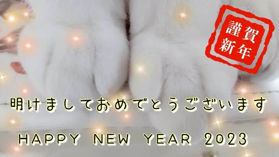 高梨謙吾のインスタグラム：「新年明けましておめでとうございます。 今年もよろしくお願いします。 2023年も健やかに充実した年となりますよう。 我が家はみんな元気！」