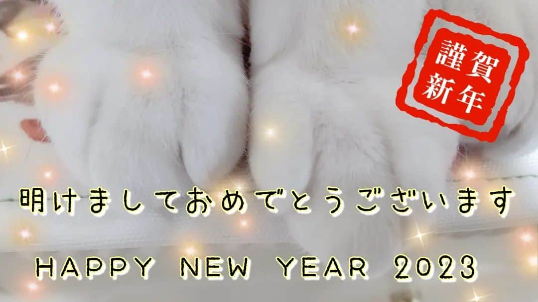 のインスタグラム：「新年明けましておめでとうございます。 今年もよろしくお願いします。 2023年も健やかに充実した年となりますよう。 我が家はみんな元気！」