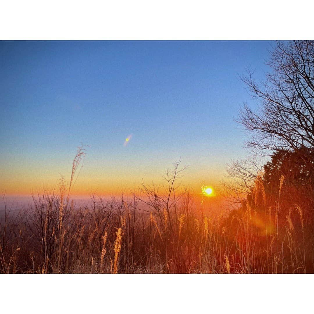 東拓海さんのインスタグラム写真 - (東拓海Instagram)「初日の出綺麗でした。、 皆様今年もどうぞよろしくお願いします(^-^)  #2023年 #よろしくお願い致します #初日の出 #山 #綺麗だった」1月1日 18時31分 - higashi_takumi.310