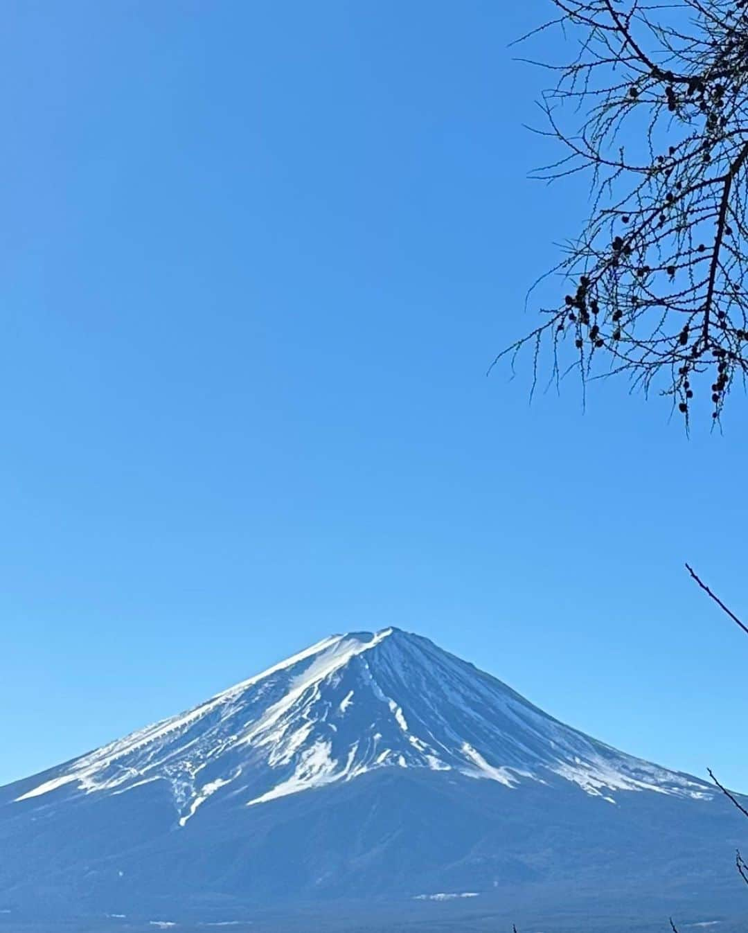 松田龍平のインスタグラム：「明けましておめでとうございます 🎍🌅 本年もよろしくお願いします。」