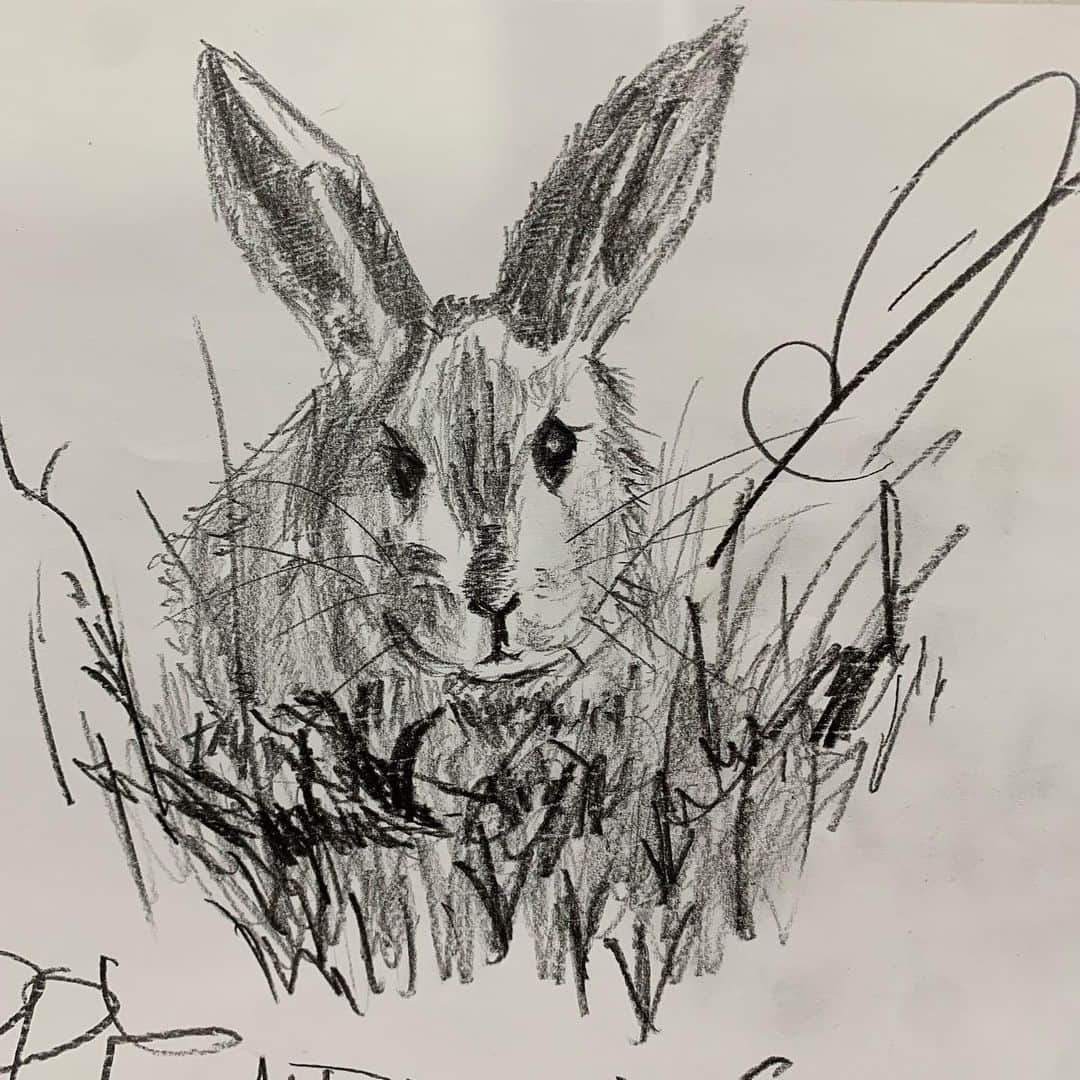 MINATOのインスタグラム：「. HAPPY NEW YEAR rabbit   #rabbit #よっ #年男  絵を参考にさせていただきました！ @shiba_watercolor 🙇‍♂️🙇‍♂️🙇‍♂️」