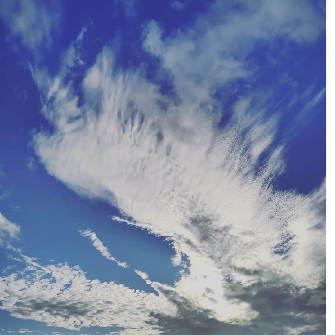 中田有紀さんのインスタグラム写真 - (中田有紀Instagram)「あけましておめでとうございます✨ 先月はなんだかのんびりまったりしてインスタさぼり気味でした😅 今年もマイペースかもしれませんが、よろしくお願い致します🐇 良い一年になりますように😉 不死鳥に見える！？(もしくは鶴) #新年 #2023」1月1日 20時37分 - akinakada0508