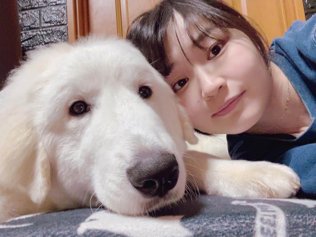 並木月海のインスタグラム：「新年明けましておめでとうございます✨ 今年も宜しくお願いします🫡」