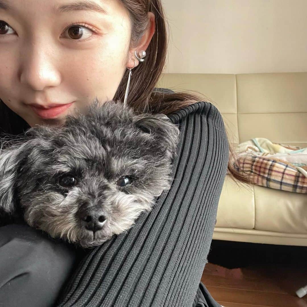 mina hinokuchiのインスタグラム：「. 明けましておめでとうございます。 5年ぶりに実家で過ごしたお正月🎍 2023年のパワーチャージをして、今から東京へ帰ります✨ (実家の犬の可愛いショットを勝手にお裾分け笑)  1/1今日からChicoではWINTER SALEが始まってるお店も！ 今週来週末は、さっそく春物もたくさんお店に入ってきますよ〜♡  2月3月は嬉しいニュースも！ 今年もChicoを通して、色んなことを届けられる1年にできたらと思ってます♪  2023年もよろしくお願いします✨  . #Chico カメラ目線上手なもずく。🐶」