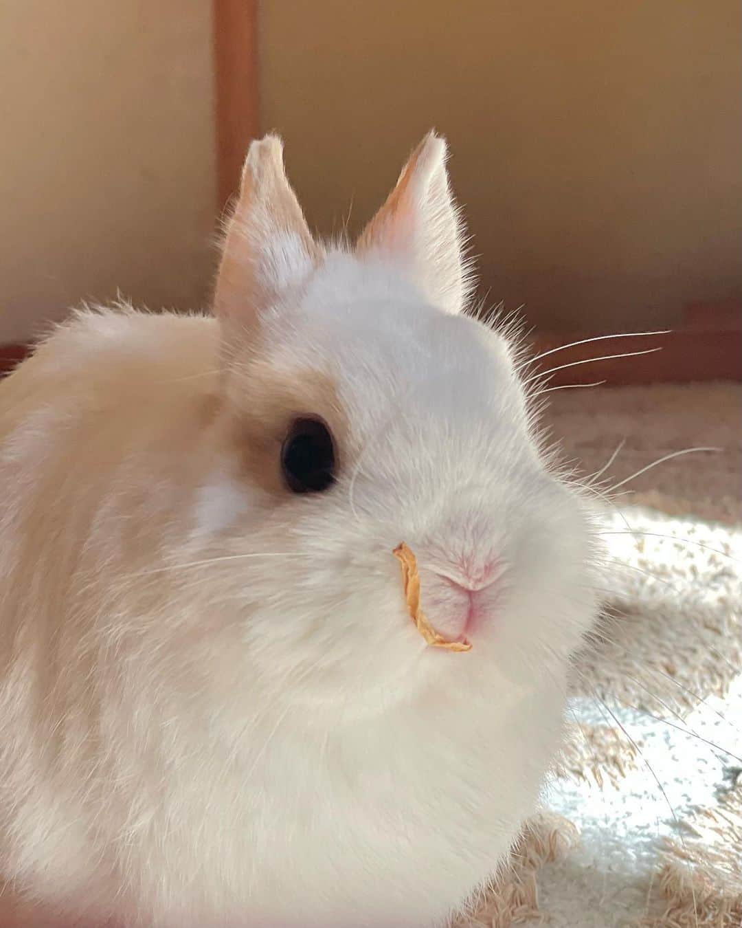 小牧那凪のインスタグラム