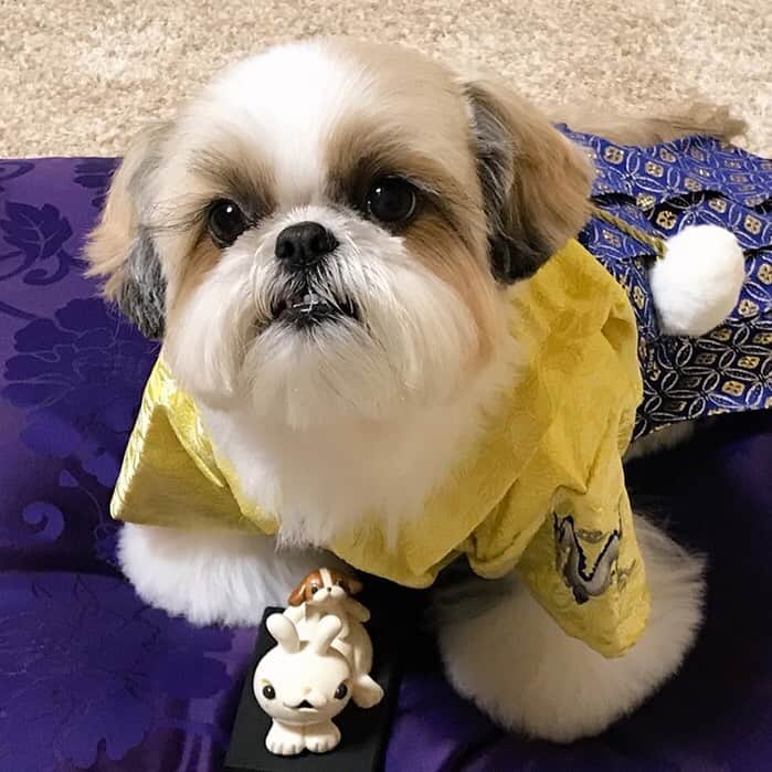 りんくのインスタグラム：「Happy New Year! 🎉 今年もよろしくお願いいたします🐰✨」