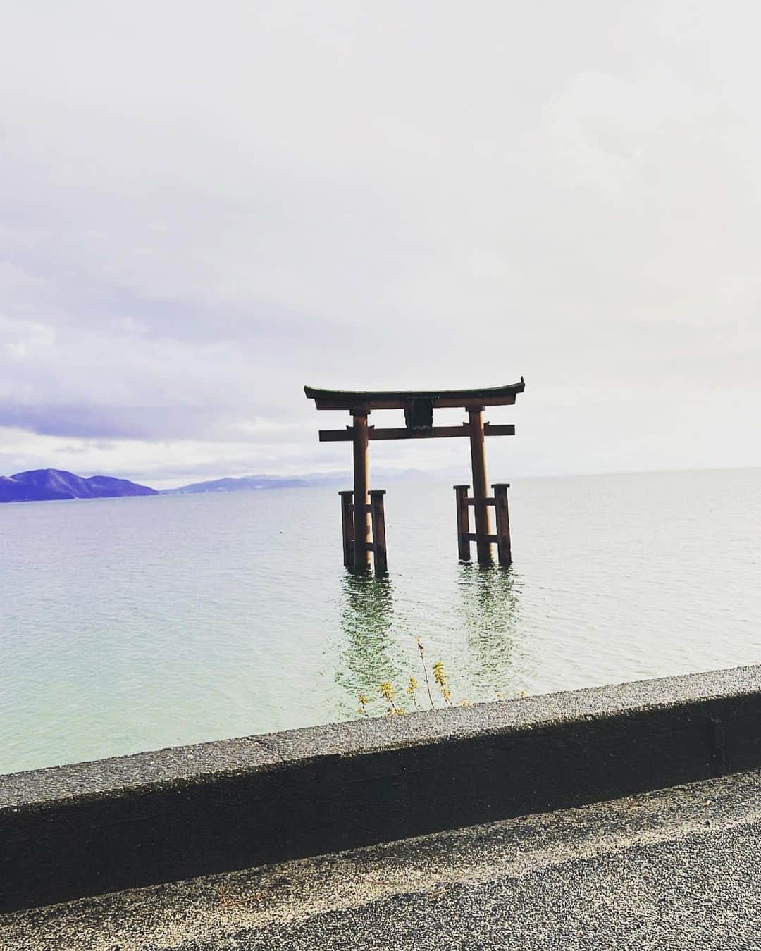 横川凱さんのインスタグラム写真 - (横川凱Instagram)「#白髭神社」1月2日 16時41分 - kai.yokogawa