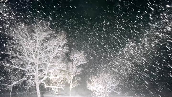 雅-MIYAVI-のインスタグラム：「Thinking of you. 2023.01.01.  🎼 Cornfield Chase by Hans Zimmer  外の景色が幻想的だったのでおすそわけ 降りしきる雪が音符みたい みんな、暖かくして過ごしてね  😌」
