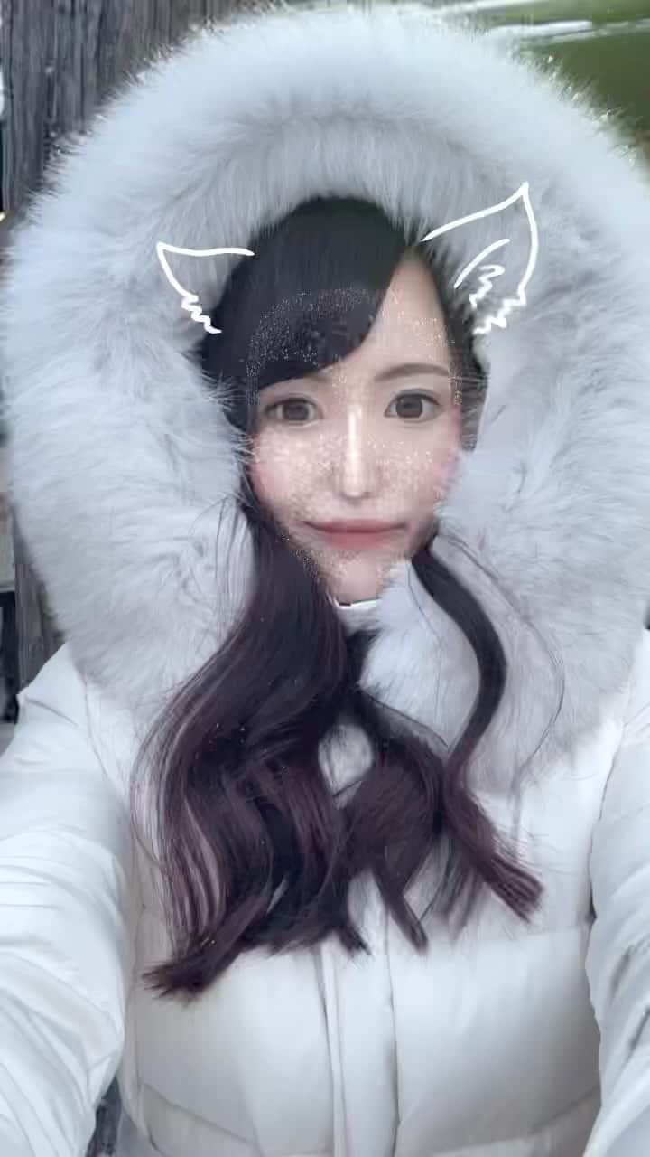 柏木葵のインスタグラム：「もこもこ白熊🐻‍❄️」