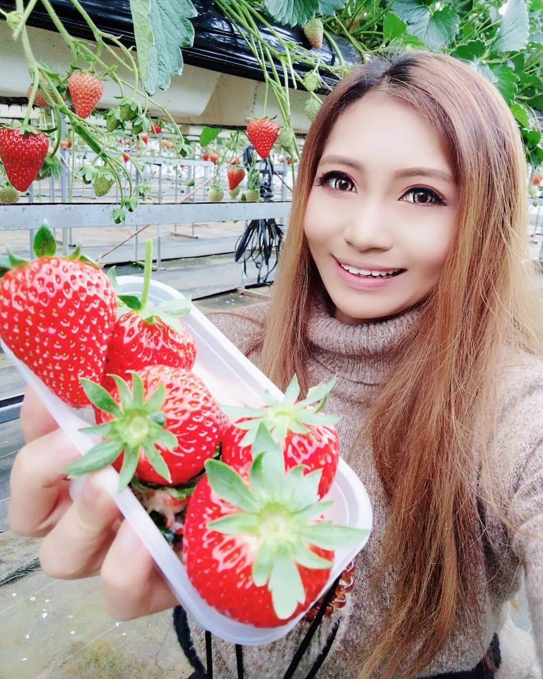 REIKAさんのインスタグラム写真 - (REIKAInstagram)「.⁡⁡ ⁡毎年恒例❤ ⁡🍓🍓🍓いちご狩り🍓🍓⁡🍓⁡ 大きくて超甘いのばっかり❤⁡⁡ ⁡美味しすぎ❤❤❤⁡ ⁡.⁡⁡⁡⁡⁡⁡⁡⁡⁡⁡⁡ . ｡.｡･.｡*ﾟ+｡｡.｡･.｡*ﾟ+｡｡.｡･.｡*ﾟ+｡｡.｡･.｡*ﾟ  【スケジュール】⁡ ⁡⁡1/8㈰⁡⁡東京smooth撮影会⁡ ⁡⁡https://www.smooth-tokyo.jp/schedule/detail/2023-1-8_2.html⁡ ⁡ ⁡1/22⁡㈰大阪smooth撮影会 ⁡1/29㈰東京REIKA撮影会 2/11㈯ smooth福岡プール撮影会⁡ ⁡⁡ ⁡【REIKA calendar🗓】 ⁡https://reikajapan.shopselect.net/⁡⁡ ⁡ ⚠️パーソナルトレーニング(男女可),ポージングレッスン(FWJ公認講師),リクエスト撮影(初見不可)の問い合わせはDM下さい📧  ｡.｡･.｡*ﾟ+｡｡.｡･.｡*ﾟ+｡｡.｡･.｡*ﾟ+｡｡.｡･.｡*ﾟ  #bikinicompetitor #fitnessmodel #personaltrailer #フィットネスモデル #筋トレ女子 #筋肉女子 #トレーニング #training #筋トレ #workout #パーソナルトレーナー #beachgirl #いちご狩り #strawberry #いちご」1月2日 13時34分 - reika_japan