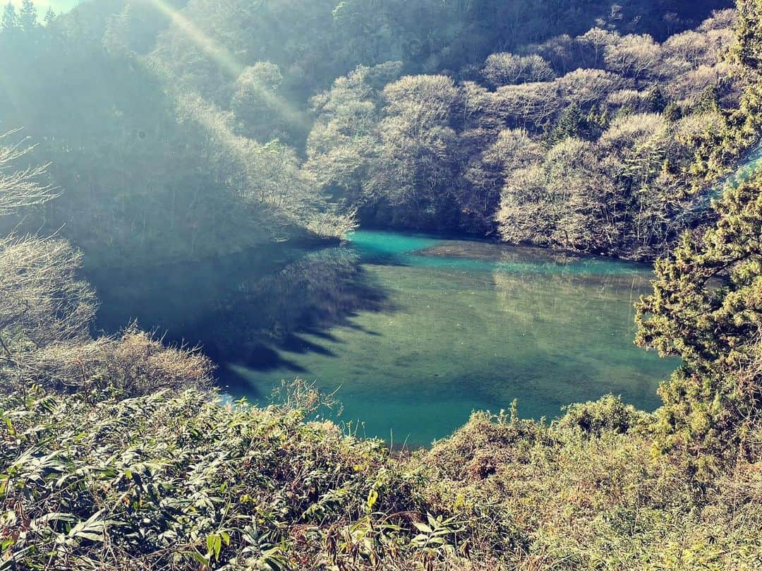 寺島成輝のインスタグラム：「今年もよろしくお願いいたします🙇‍♂️」