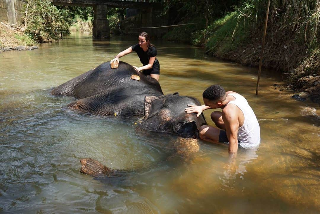 Justyna SAGANIAKさんのインスタグラム写真 - (Justyna SAGANIAKInstagram)「Elephant SPA 🐘」1月3日 2時01分 - saganiak