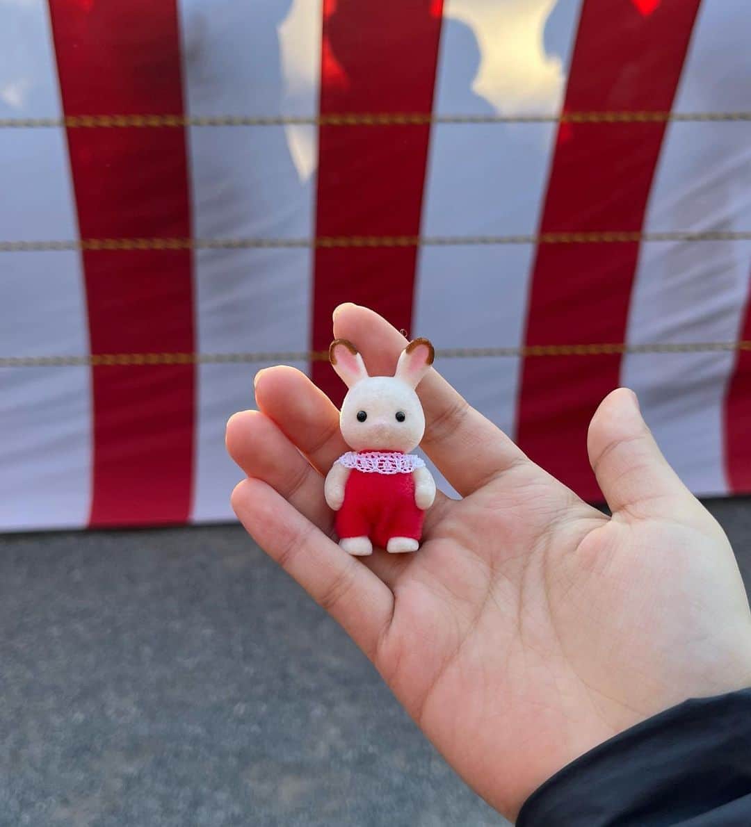 むくさんのインスタグラム写真 - (むくInstagram)「あけおめです🎌 友達と初日の出を見に行ったり、親戚と集まったり、毎年変わらないお正月を過ごせていることに幸せを感じてます🦛🫧 ・ 去年の反省点とか目標とか色々あるけど、 毎日たのしく健康に！を第一に過ごしたいです🫶🏻🗯 ・ 今年もよろしくね！🐇 （卯年かわいくていいよね~！）」1月2日 18時19分 - _.muu._
