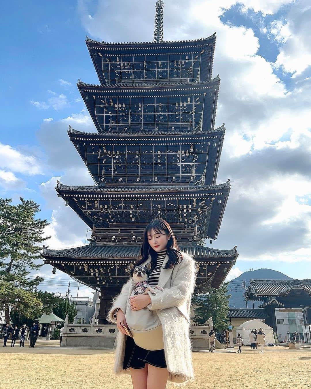 川上礼奈のインスタグラム：「. 初詣は小さい頃から毎年行ってる 総本山善通寺に行って来ました⛩🌟 わんちゃんのお参りもできる神社なので 選抜でぴのちゃんも連れて行ったよ🐶💕 わんちゃんお守りもゲットできてよかった、、、🥰」