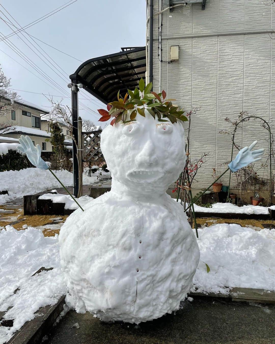 横山雄哉のインスタグラム