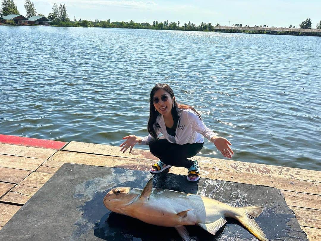 のインスタグラム：「タイでやってみたかったbig fish釣りに行きました🎣🌟 お魚さん大きいでしょ〜🥰🌸 ずっしりと引きも強くて翌日は色々なところが筋肉痛でした😂🍀すっごく楽しかったのでタイに行ったら毎回行きたい場所の１つです🥰 ガイドさんも親切でみんなでたくさん笑った最高の時間でしたよ🥺💖  #釣り #fishing #thailand」