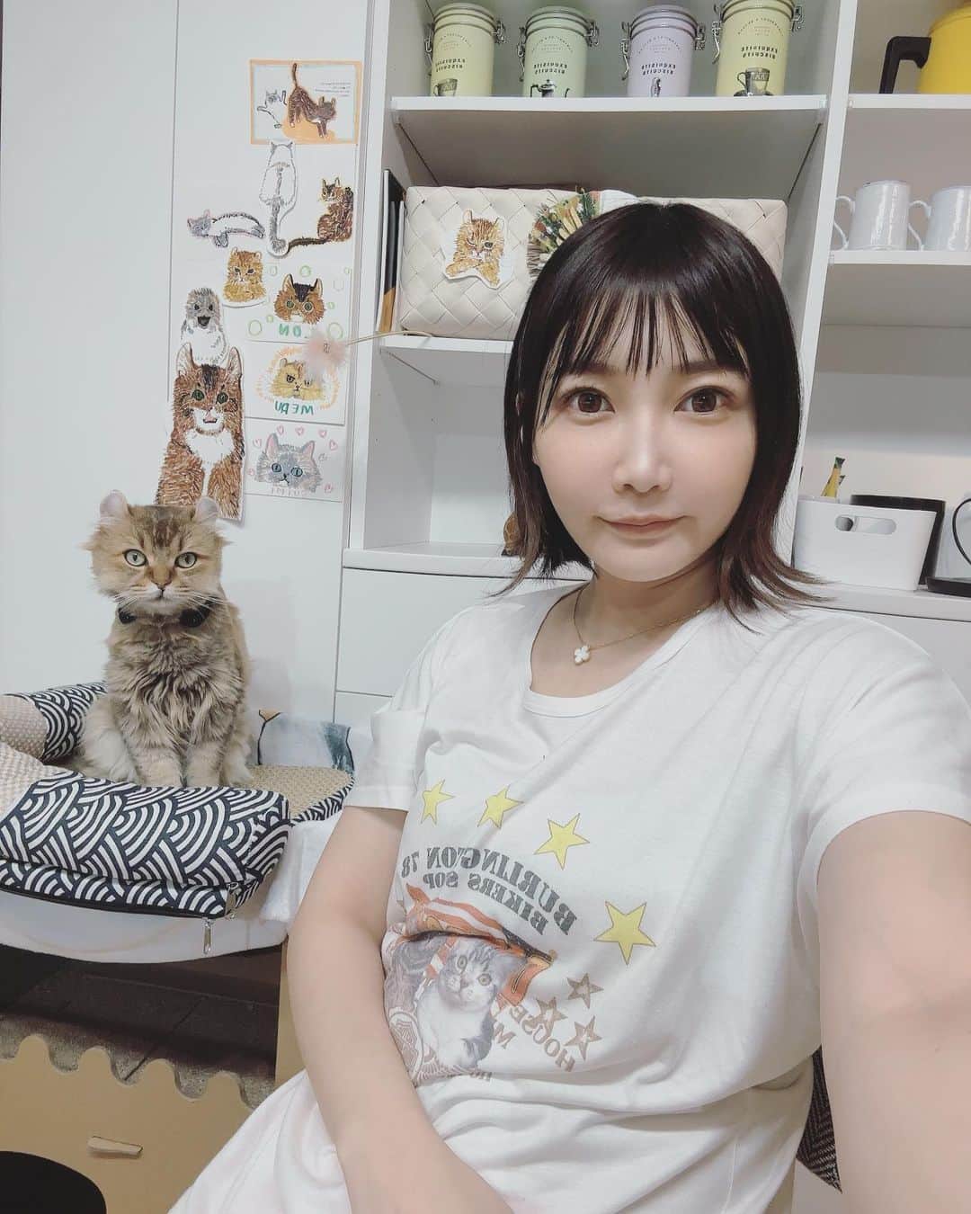 のインスタグラム：「うちのかわいいメル @melon05060620  #める🐱」