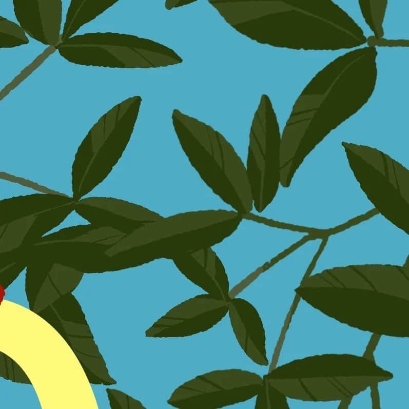 藤純さんのインスタグラム (藤純fujijunrox)