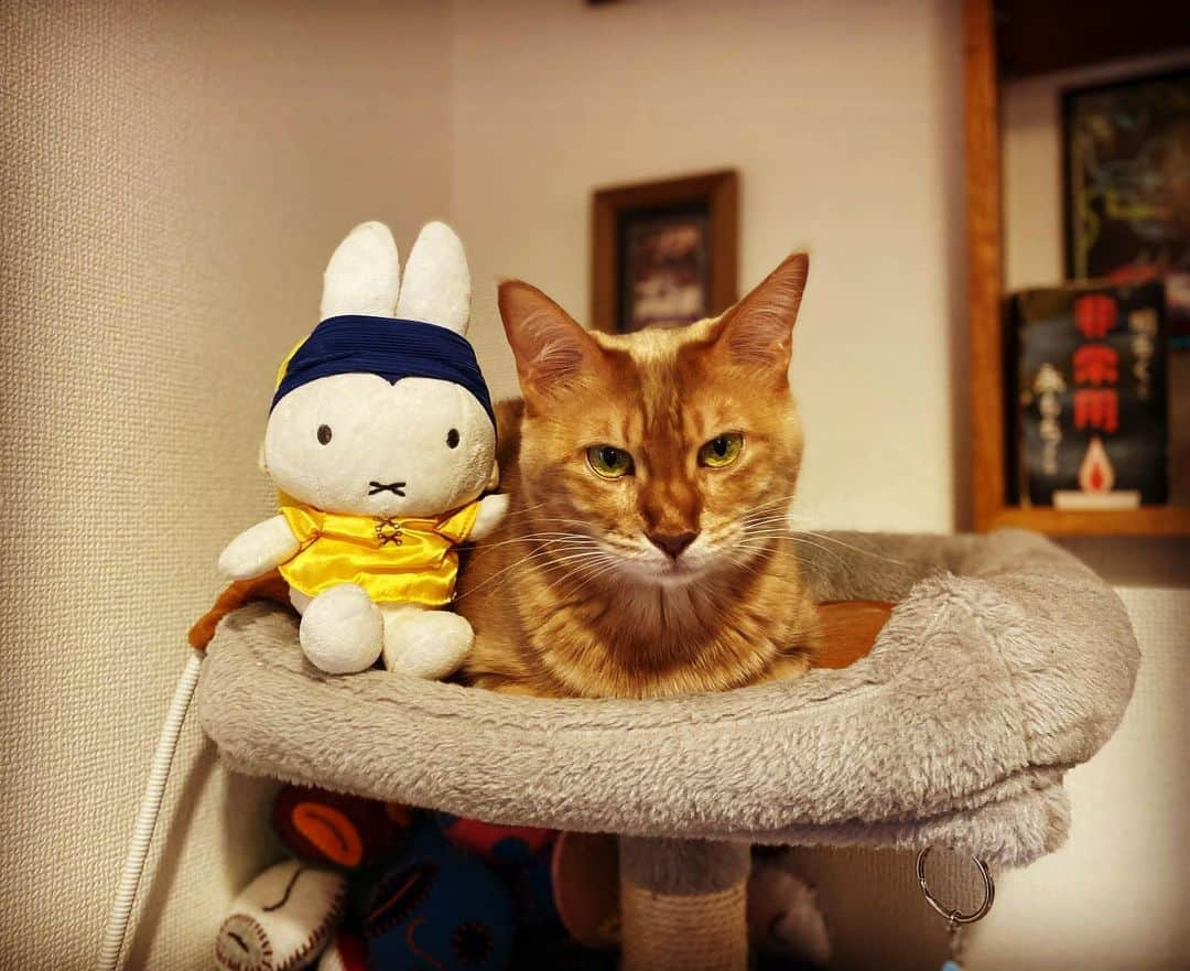 岡田梨沙のインスタグラム：「🐇Happy New Year!!!!🐈  笑顔あふれる一年になりますように。  リサクーパーとしても岡田梨沙としても、HGYMも吉田建さんとのPAGも、皆さんに楽しんでもらえるような面白いこと、今年もやっていけたらと思っております。  2023年も何卒よろしくお願いします！」