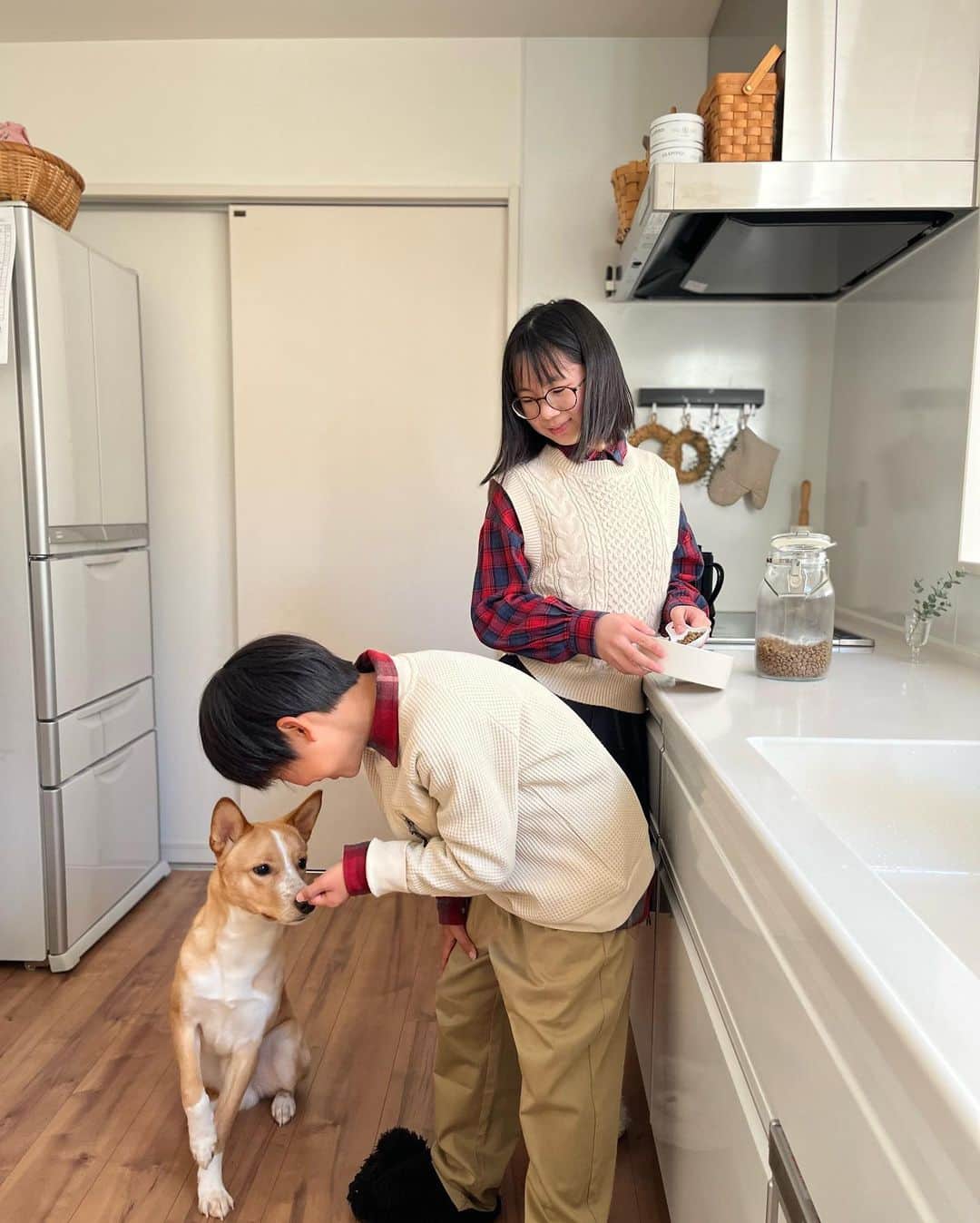 Ayakoのインスタグラム：「2023.01.03 ・ ・ 明けましておめでとうございます。 今年も宜しくお願い致します。 ・ ・ 昨年も子育てや犬育てや夫育てに追われドタバタとした日々を過ごしておりましたが、今年も自分らしくマイペースにやっていきたいと思います。 ・ ・ #日常#保護犬#キッチン ・」