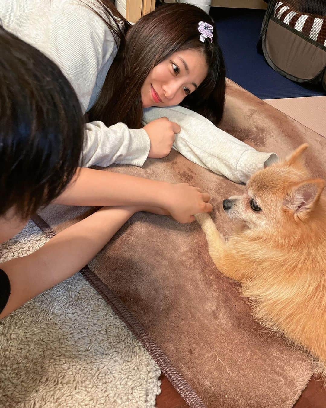 のインスタグラム：「🐕  今年の年末年始も もちゃんと子供たちに癒された〜😌」