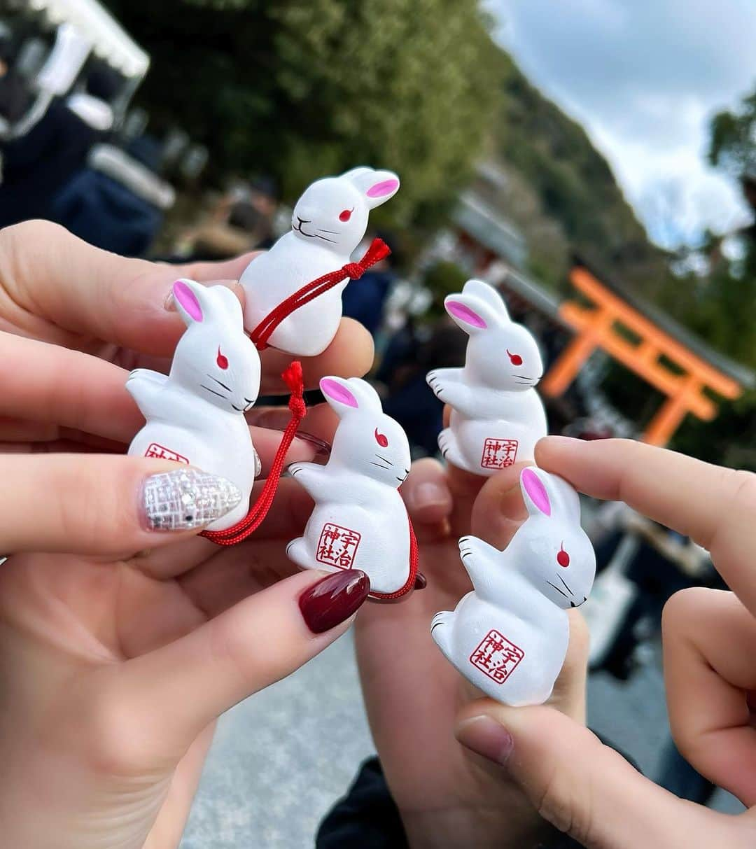 若月雅のインスタグラム：「. 恒例の家族で初詣⛩✨🐰 御朱印巡りも👏 沢山喋って飲んで、楽しかった❤️ . #京都　#初詣　#兎　#うさぎ年 #宇治神社 #宇治上神社 #勝林寺　#毘沙門天 #御朱印　#限定 #御神籤」