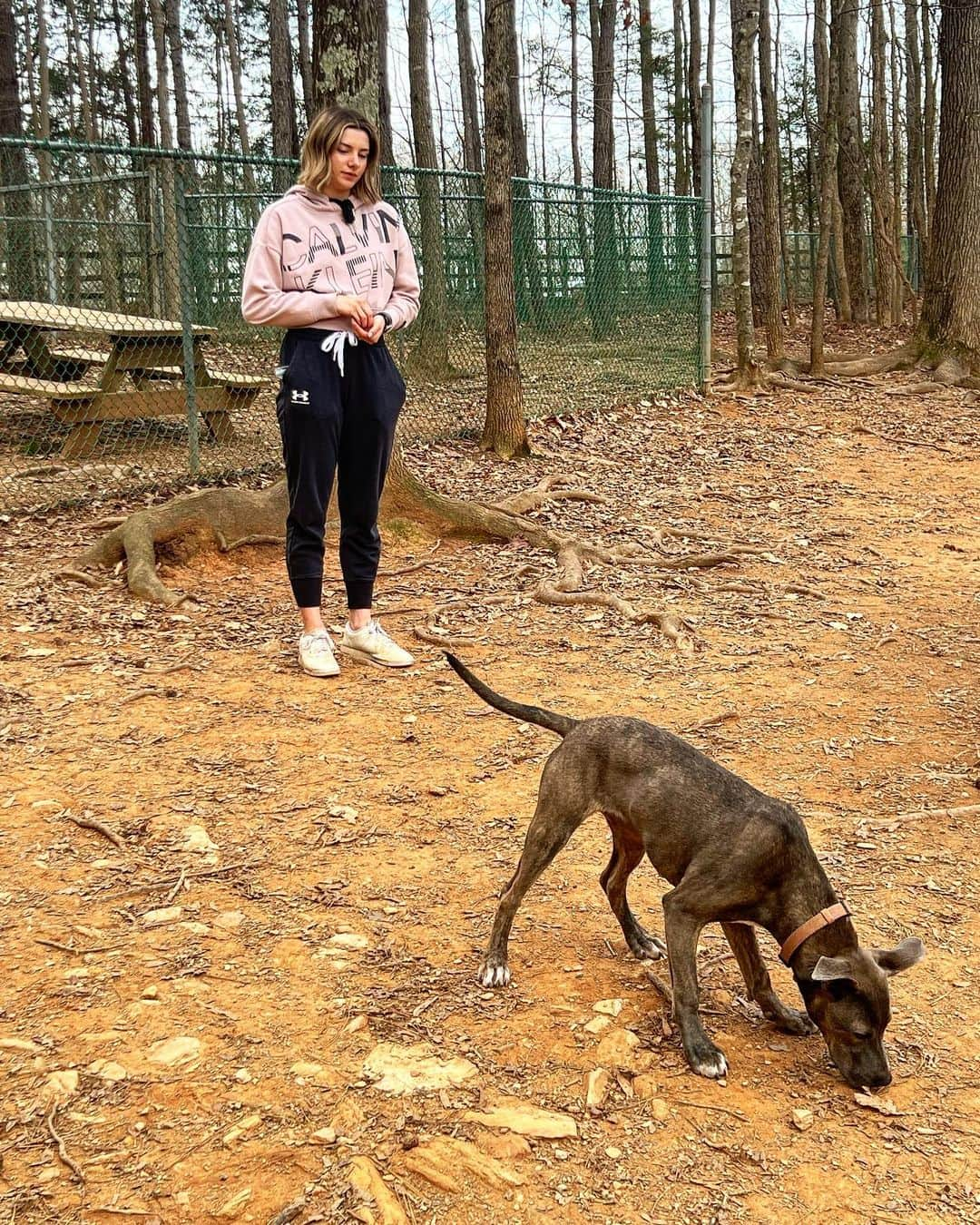 ザカリー・ダナヒューのインスタグラム：「My gal and our little princess! Momma is a good trainer 😉 & @sadie.mei.d is a good student」